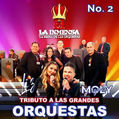 Tributo a las Grandes Orquestas, No. 2 By La Inmensa La Reina de las Orquestas, Liz, Miguel Moly's cover