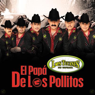 El Papa de Los Pollitos By Los Tucanes De Tijuana's cover