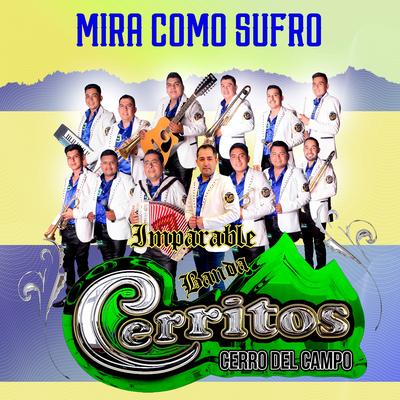Imparable Banda Cerritos Cerro Del Campo's cover