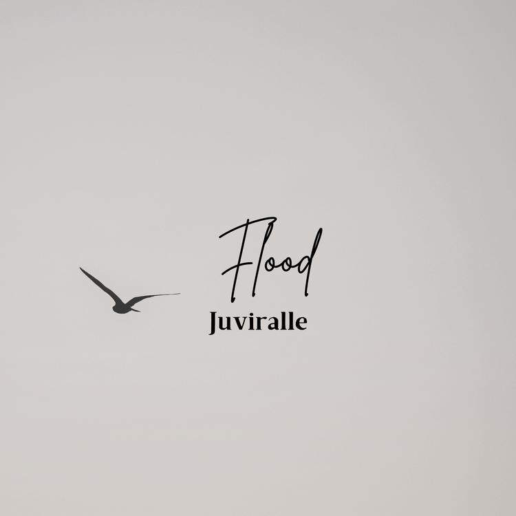 Juviralle's avatar image