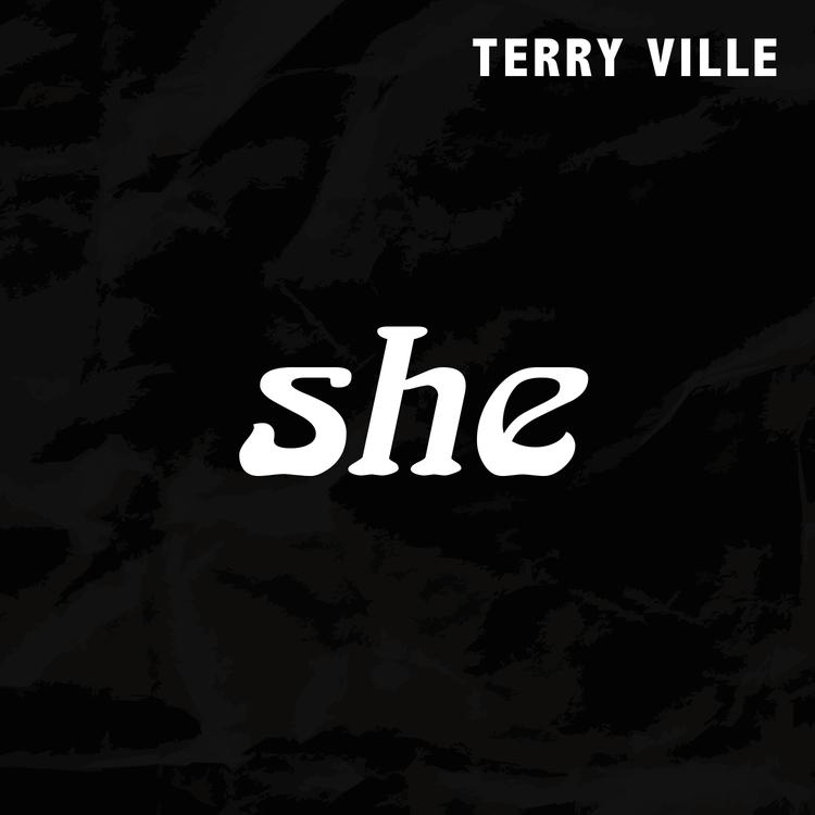 TERRY VILLE's avatar image