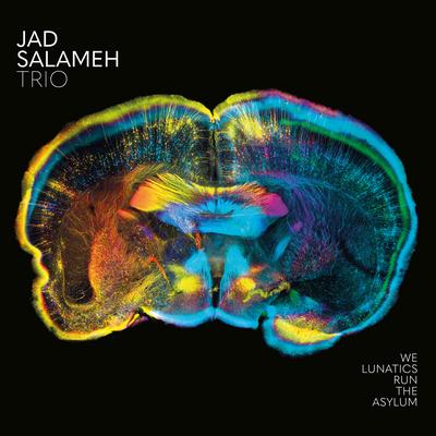 We Lunatics Run the Asylum By Jad Salameh Trio's cover