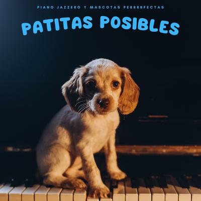 Cuatro Patas Azules's cover