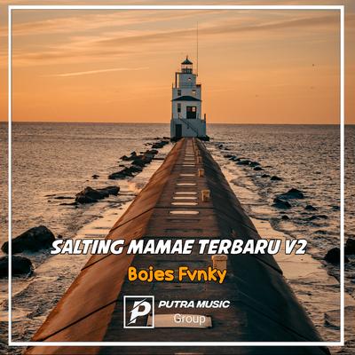 SALTING MAMAE TERBARU, Vol. 2 (Remix)'s cover