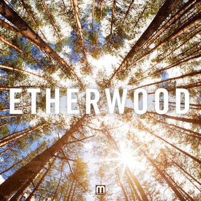 Begin By Letting Go By Etherwood's cover