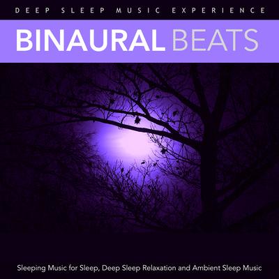 Binaural Beats and Dreaming Music By Deep Sleep Music Experience's cover