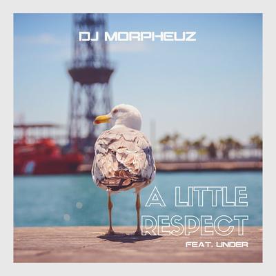 A Little Respect By Under, DJ MorpheuZ's cover