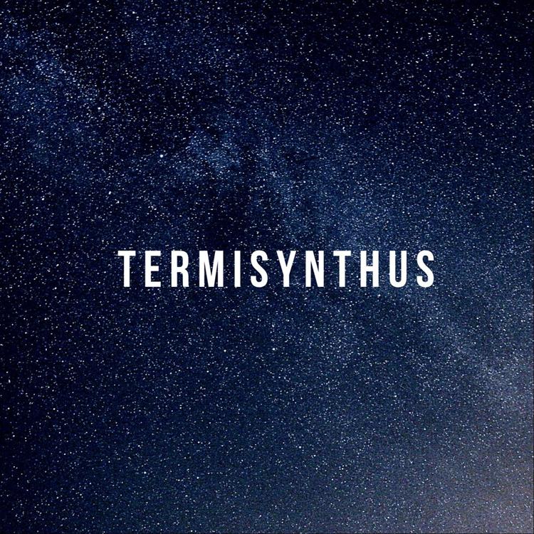 Termisynthus's avatar image