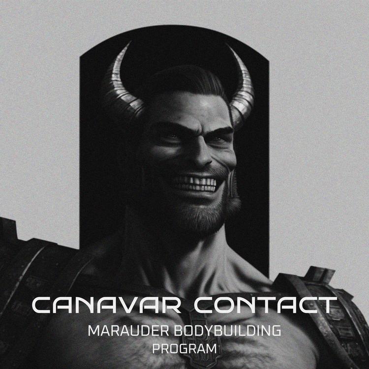 CANAVAR CONTACT's avatar image