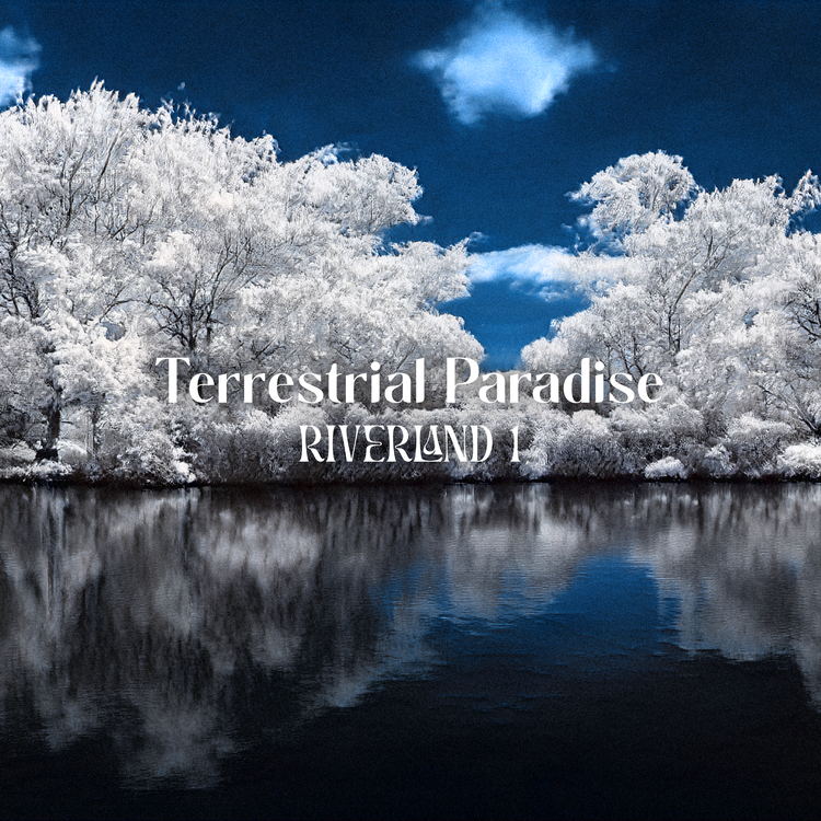 Terrestrial Paradise's avatar image