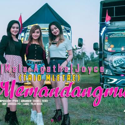 Memandangmu's cover