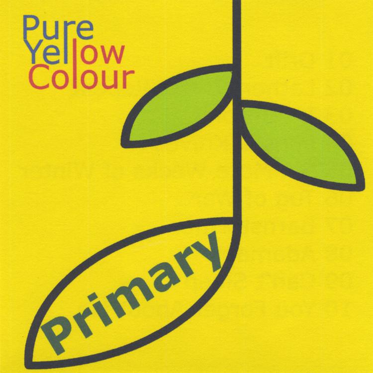 Pure Yellow Colour's avatar image