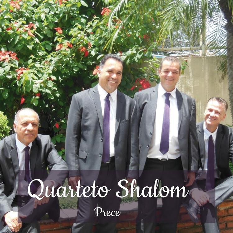 Quarteto Shalom's avatar image