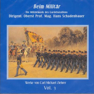 Türkischer Festmarsch's cover