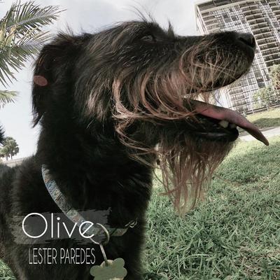 Olive By Lester Paredes's cover