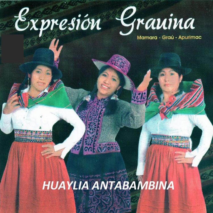 Expresion Grauina's avatar image