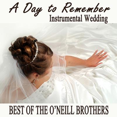 Falling in Love (Instrumental Version) By The O'Neill Brothers's cover