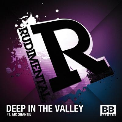 Deep in the Valley (Radio Mix) By Rudimental, MC Shantie's cover