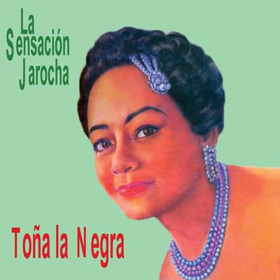 La Sensación Jarocha's cover