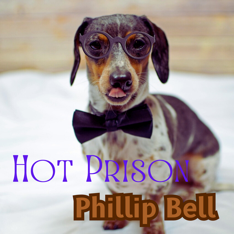 Phillip Bell's avatar image