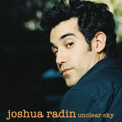 The Fear You Won't Fall By Joshua Radin's cover