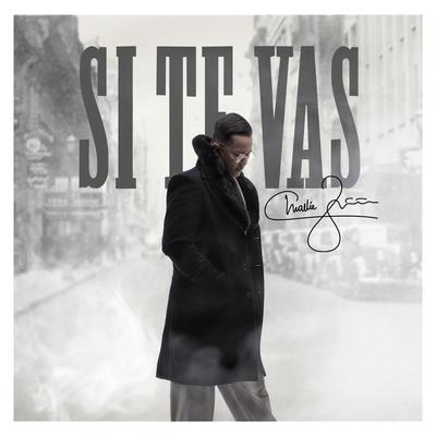 Si Te Vas's cover