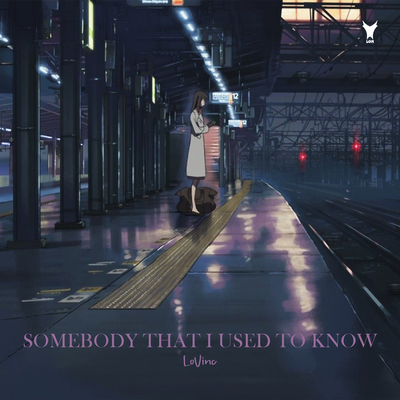 Somebody That I Used To Know By LoVinc's cover