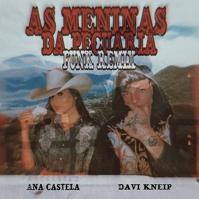 As Meninas da Pecuária (Remix) By Davi Kneip, Ana Castela's cover