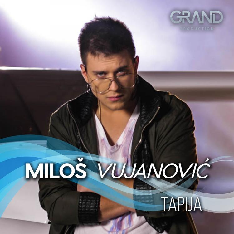 Miloš Vujanović's avatar image