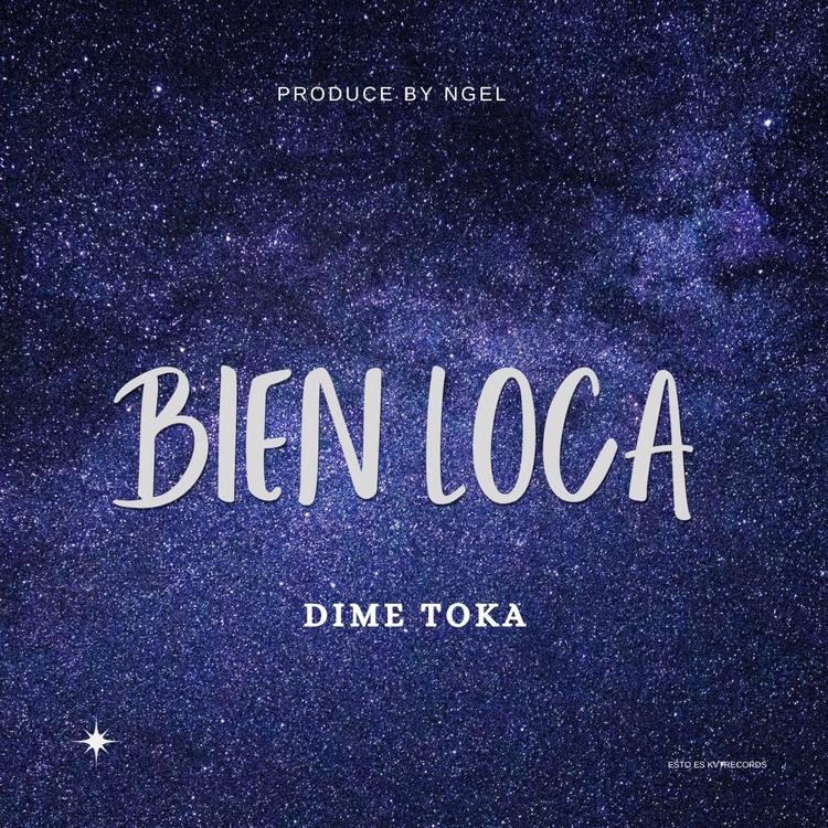 Dime Toka's avatar image