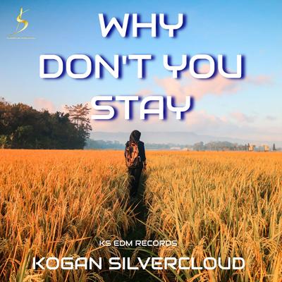 Why Don't You Stay (Radio Edit)'s cover