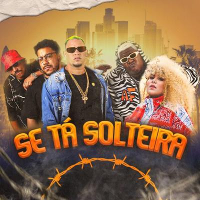 Se Tá Solteira's cover