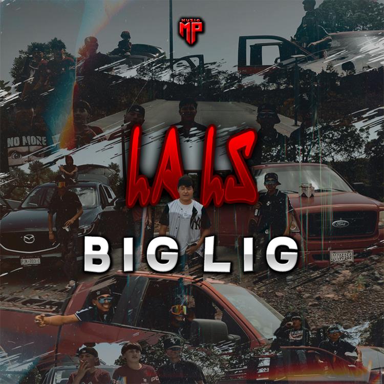 Big Lig's avatar image
