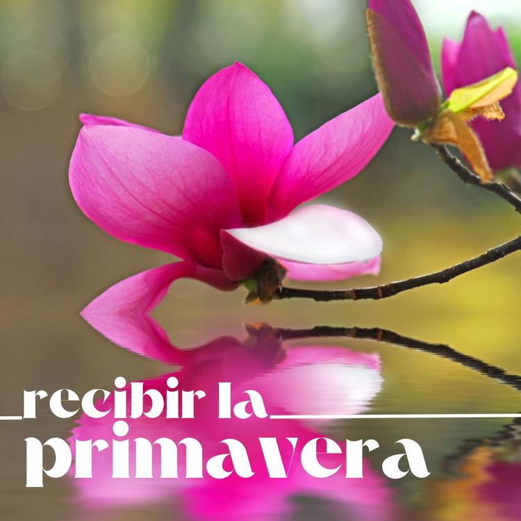 Fiesta de la Primavera's avatar image