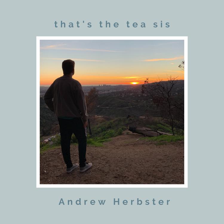 Andrew Herbster's avatar image