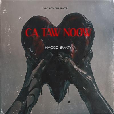 Ca Täw Noow ?'s cover