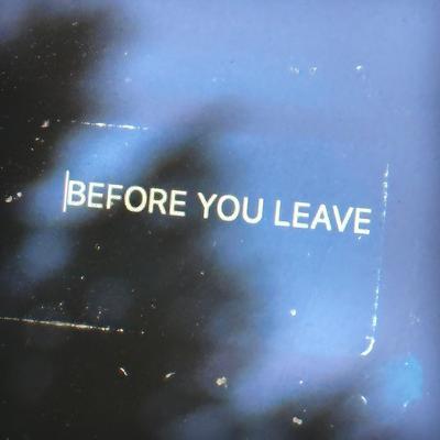 Before You Leave's cover