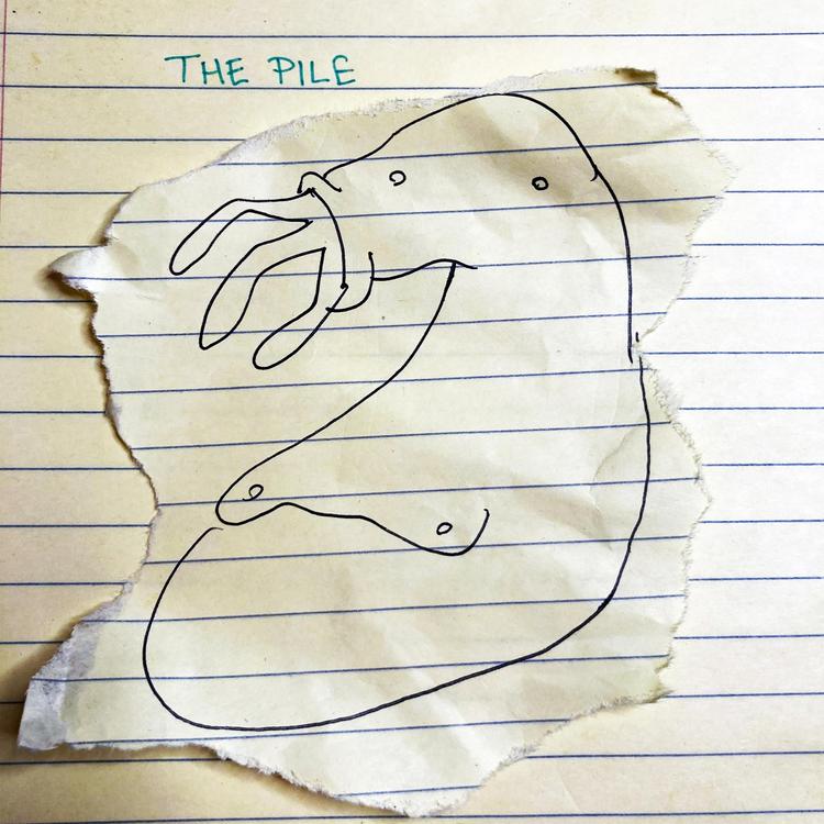 The Pile's avatar image