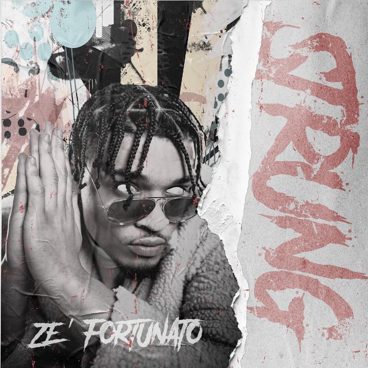 Ze Fortunato's avatar image