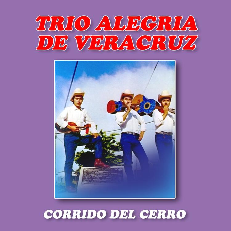 Trio Alegria De Veracruz's avatar image