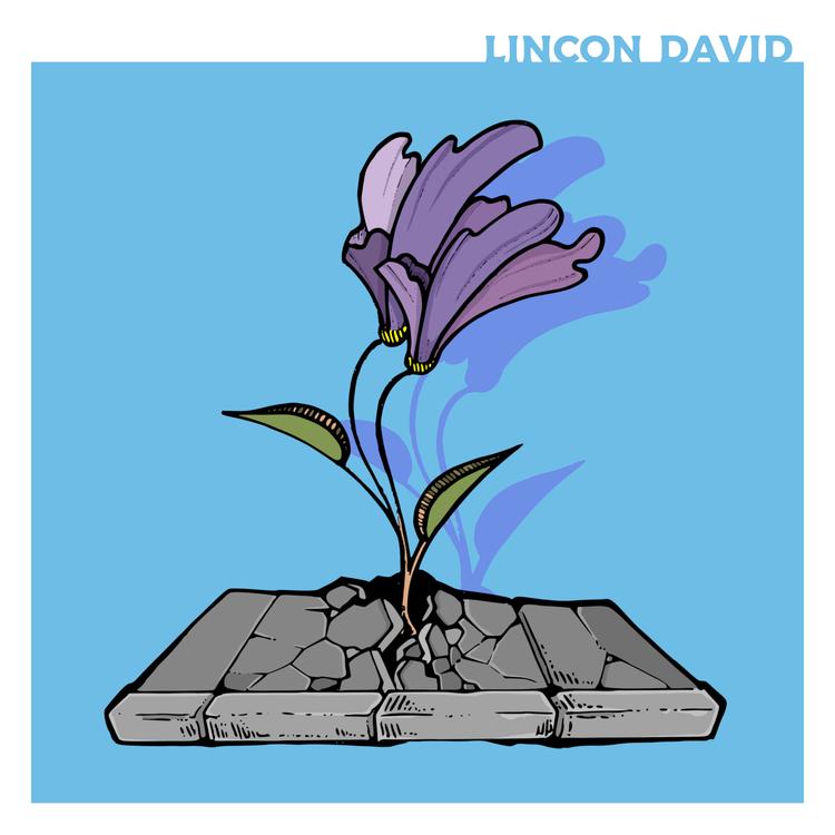 Lincon David's avatar image