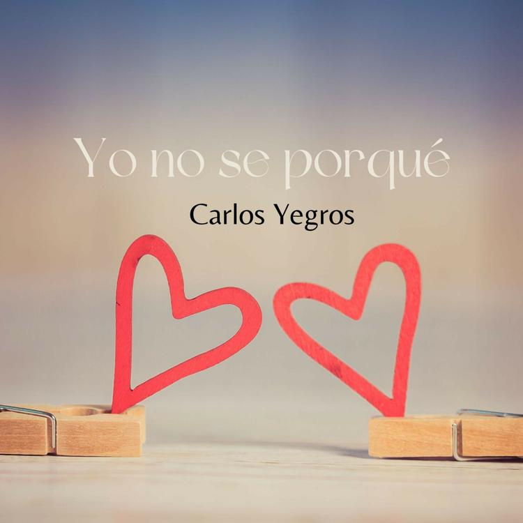 Carlos Yegros's avatar image
