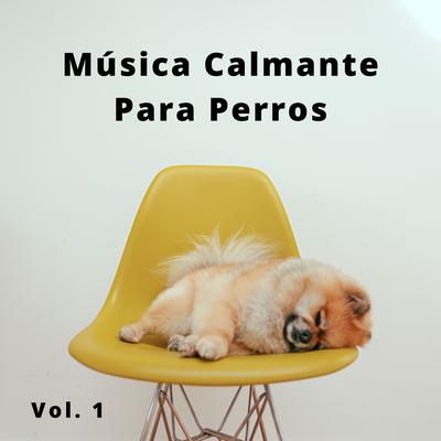 Canciones Para Gatos Callejeros's cover