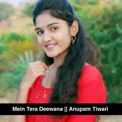 Mein Tera Deewana's cover