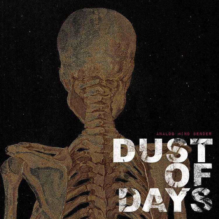 Dust of Days's avatar image