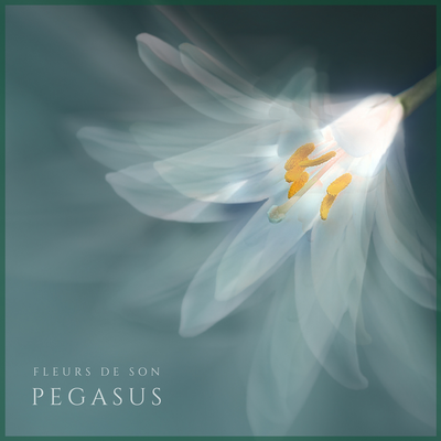 Pegasus By Fleurs de Son's cover