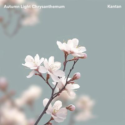 Autumn Light Chrysanthemum (From "Naruto")'s cover