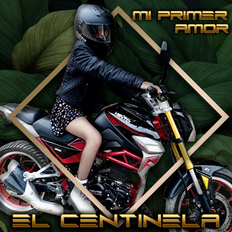 El Centinela Rcdc's avatar image