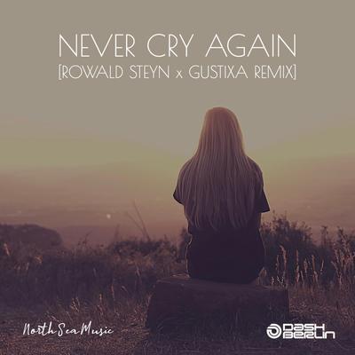 Never Cry Again (Rowald Steyn & Gustixa Remix)'s cover