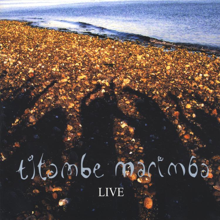 Titambe Marimba's avatar image